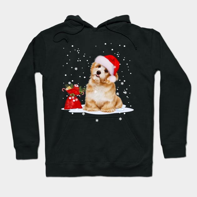 Yorkshire Terrier Dog Light Christmas Matching Family Hoodie by IainDodes